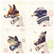 Illustration for article titled A Realistic Star Fox Cast